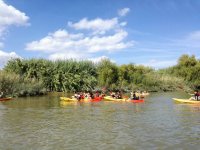Foto KAYAK CUATRO 2 horas