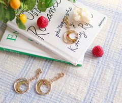 D.LAB Crescent Moon & Star Gold Keychain Luxury Bag Charm Accessory New