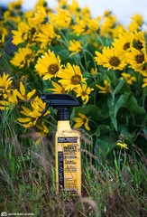Sawyer Permethrin Fabric Treatment Insect Repellent – 24 fl oz, 2 Pack