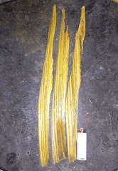 Fire Fuel Starter FAT WOOD LIGHTER KNOT