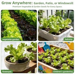 【Seed Vault】 Heirloom Vegetable Seeds Planting Kit – 15,000+ Non-GMO Seeds for