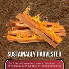 Fatwood Fire Starter Pack – Wood for Fireplace – Small 10 lb