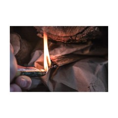 Better Wood Products 1 Pack Fatwood Fire Starter Sticks, Fireplace & Campfire…