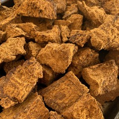 Alaska Chaga Fungus Tinder – flint steel, Bushcraft Fire Starter – (see video)
