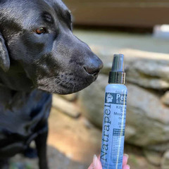 Natrapel Pets & People Essential Oil Insect Repellent [Pump Spray]: 4 fl. oz.