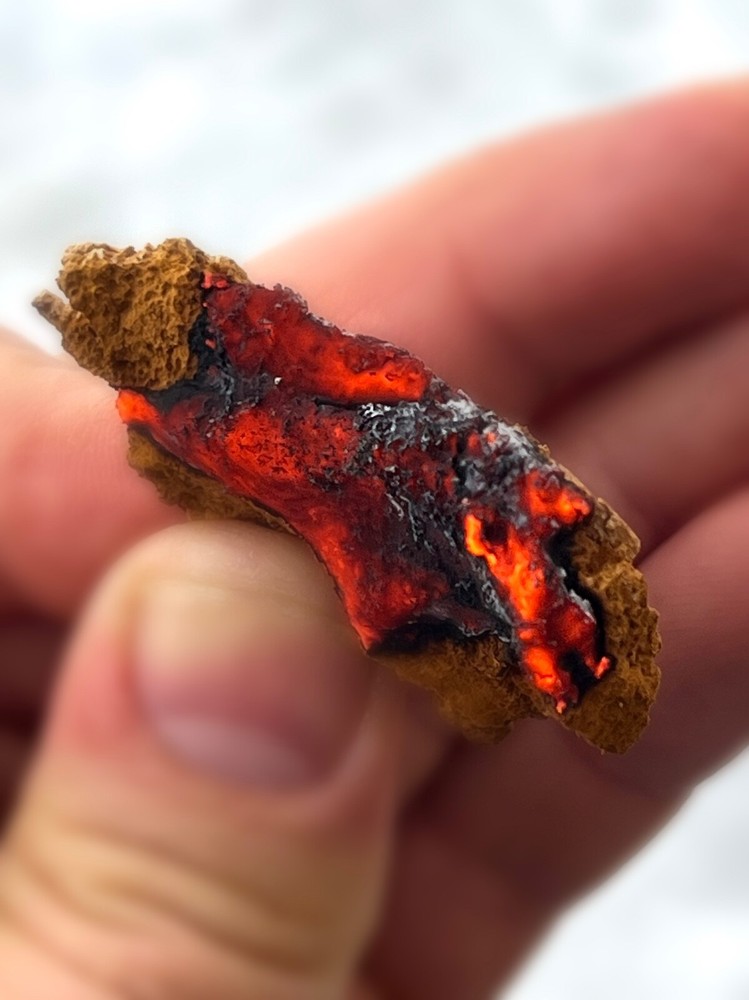 Alaska Chaga Fungus Tinder – flint steel, Bushcraft Fire Starter – (see video)