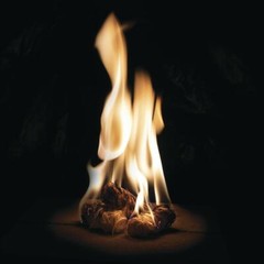 The Wooly Firestarters 4 piece Start Fire in Damp & Windy Conditions Non-Toxic