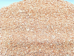 Hickory Wood Shavings Clean Cut 1lb For Fire Start, Crafts or Smoking SHIPs FREE