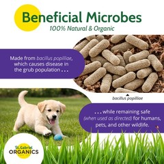 10oz Concentrate Milky Spore Grub Control Powder