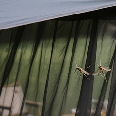 Mosquito Netting Patios Gardens Balconies Breathable Outdoor Insect Protection