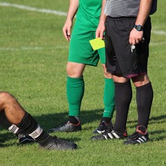 Soccer Referee Flag Sports Match Football Linesman Flags with Case Referee Eq…