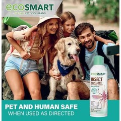 EcoSmart Insect Repellent in Aerosol (6oz ) Plant-Based Mosquito Spray (2-Pack)