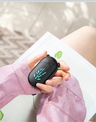 Aaolin Electric Hand Warmer Rechargeable Black Panda 2-Pack