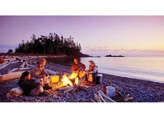 Pull Start Fire 5-Second Fire Starter Rainproof Windproof (12-Pack)