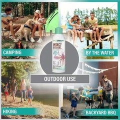 EcoSmart Insect Repellent in Aerosol (6oz ) Plant-Based Mosquito Spray (2-Pack)