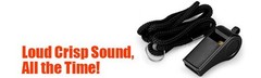 Whistle, 2 Packs Plastic Sports Whistles with Lanyard, Loud Crisp Sound Whistle