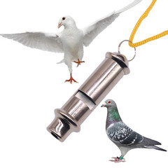 1 Pcs Metal Silver Multi Function Pendant Whistle plus Nylon Rope Coach Referee