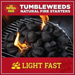 Fire Starter Charcoal 40 Pack Wood Natural Water Resistant No Odor Camping