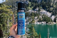 INSECT KILLER ! CONTINIOUS SPRAY UNSCENTED,FRAGRANCE FREE,6-ONCE.BEST SELLER!!!