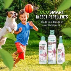 EcoSmart Insect Repellent in Aerosol (6oz ) Plant-Based Mosquito Spray (2-Pack)