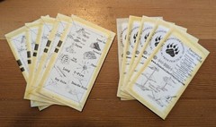 Stakeholder Prepping Podcast Emergency Tinder Cards 10-pack Fire Starter Kit