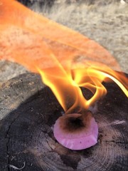Southwest Survival – Fire Starter Disc – (8) Camping, Bush Craft, Tinder Starter