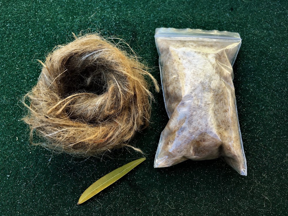 Oakum & cattail fluff – great fire tinder and nesting – bow drill, char cloth