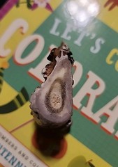 DEER ANTLER WHISTLE*DOG TRAIN*EMERGENCY*COMMUNICATE*PROTECTION*CHEROKEE*HANDMADE
