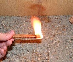 4 oz. Outdoor Survival Camping Fatwood Kindling Firestarter Fire Starting Sticks