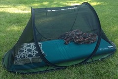 Bug Tent for Person (Instant Pop up, Strong No-See-um Mesh, Poly Floor)