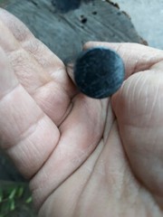 Bushcraft «Lil fatter» 5/8″ Dia. 5″ long.Ferrocerium rod/ firesteel/ ferro rod.