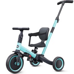 newyoo Toddler Tricycle with Push Handle – 5 in 1 Kids Bike – Purple