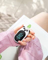 Aaolin Hand Warmers Rechargeable 2 Pack 6000Mah Electric Hand Warmer Reusable