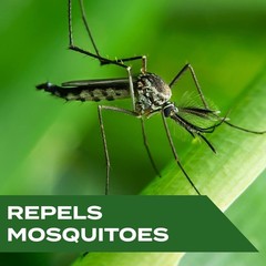 Stem Repels Mosquitoes: Mosquito Repellent Wipes with Botanical Extracts, 30…