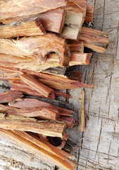 fatighter fat wood florida pine lighter knot 1/2 pound freshly split for fast fi