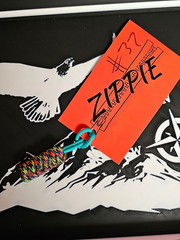ZIPPIE Paracord Keychain Lanyard Fob, Multicolor Teal Keyring 550lb