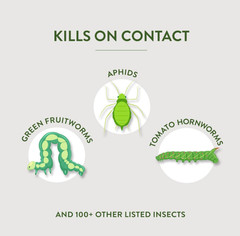 Plant Insect Control Spray – Kills on Contact, Safe for Home Use, 32oz