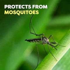 OFF! Active Insect Repellent, Sweat Resistant, Aerosol Spray – 6 oz.