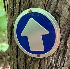 Trail Markers,Reflective Trail Marker for Hunting Hiking Camping & More, Pack-24
