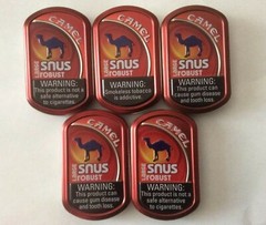 10 Empty Camel Snus Tins Water Resistan