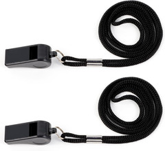 Whistle, 2 Packs Plastic Sports Whistles with Lanyard, Loud Crisp Sound Whistle
