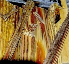FREE Shipping! Louisiana Fat pine, Lighter Knot, Kindling !! 5-lb Stuffed Boxusp