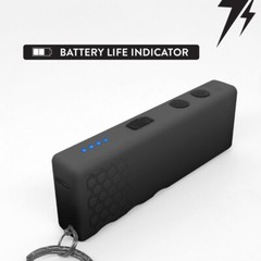 Stun Gun Hornet Plus with Flashlight | 110 Lumen w/ Charging Indicator