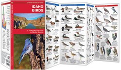 Idaho Birds – Camping Survival Outdoor Guide Book Bug Out Bag Kit