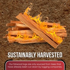 Fatwood Fire Starter Sticks 10 lb – 100% Natural, Resin-Rich Kindling for Fir…