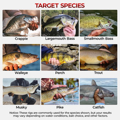 MadBite by KastKing 400-Pieces Freshwater Terminal Tackle Kit, Endorsed by…