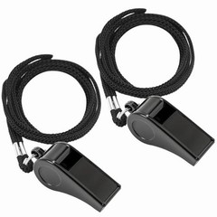 2 Sports Whistles with Lanyard, Loud Crisp Sound Whistle Ideal for Coaches, 4