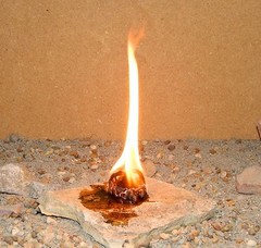 20 X Outdoor Survival Hunting Camping Emergency Heat Light Fire Buddy Tinder
