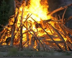 Lot of 15 Long Burn Fire Starters made w Proprietary Blend 11-15 Minute Burn