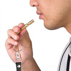 SHvivik Emergency Whistle, 2PCS Premium Safety Survival Whistles Silver/Gold